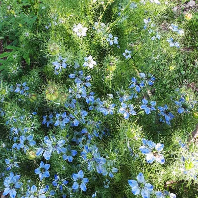 massages ardeche jardin